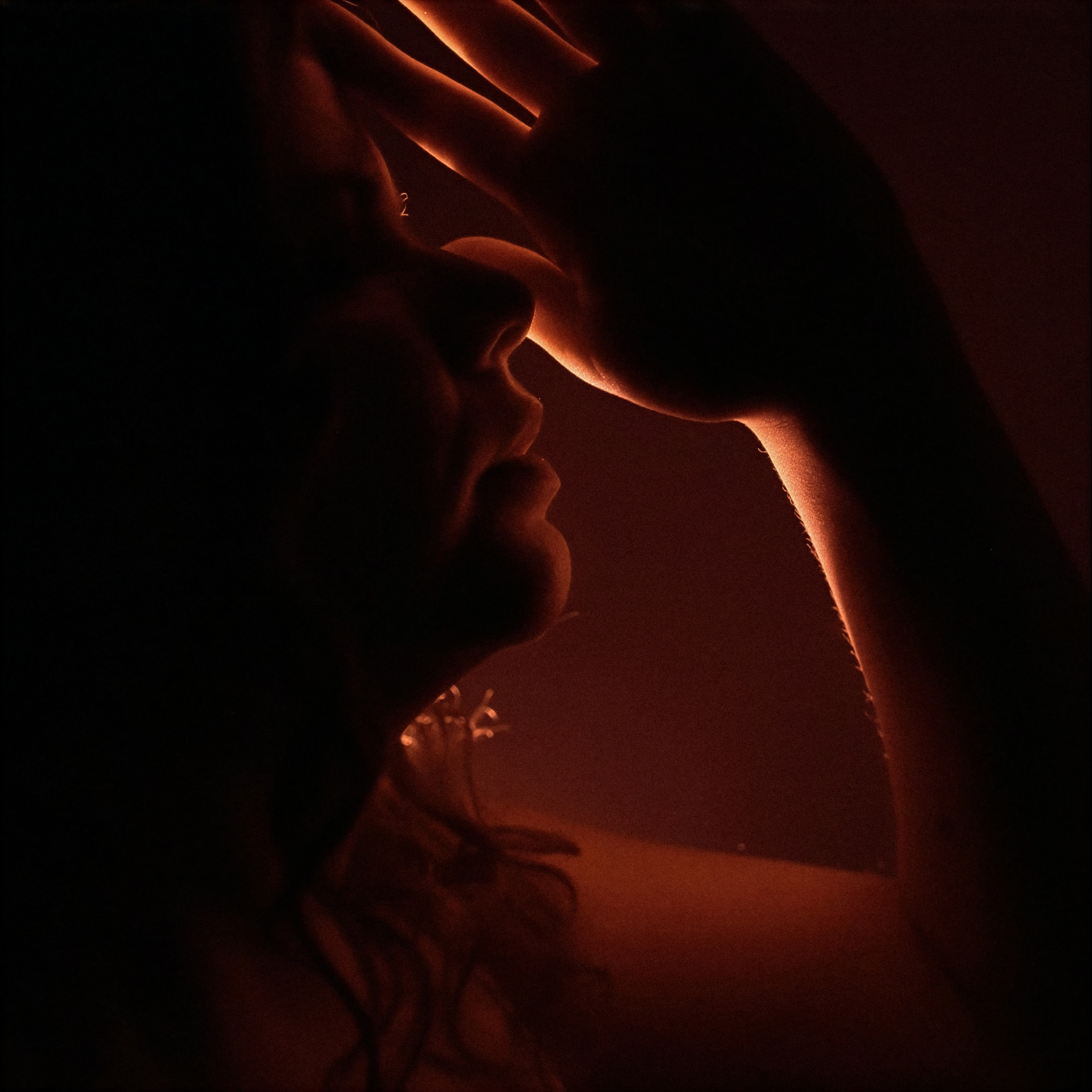 musician-photo-1