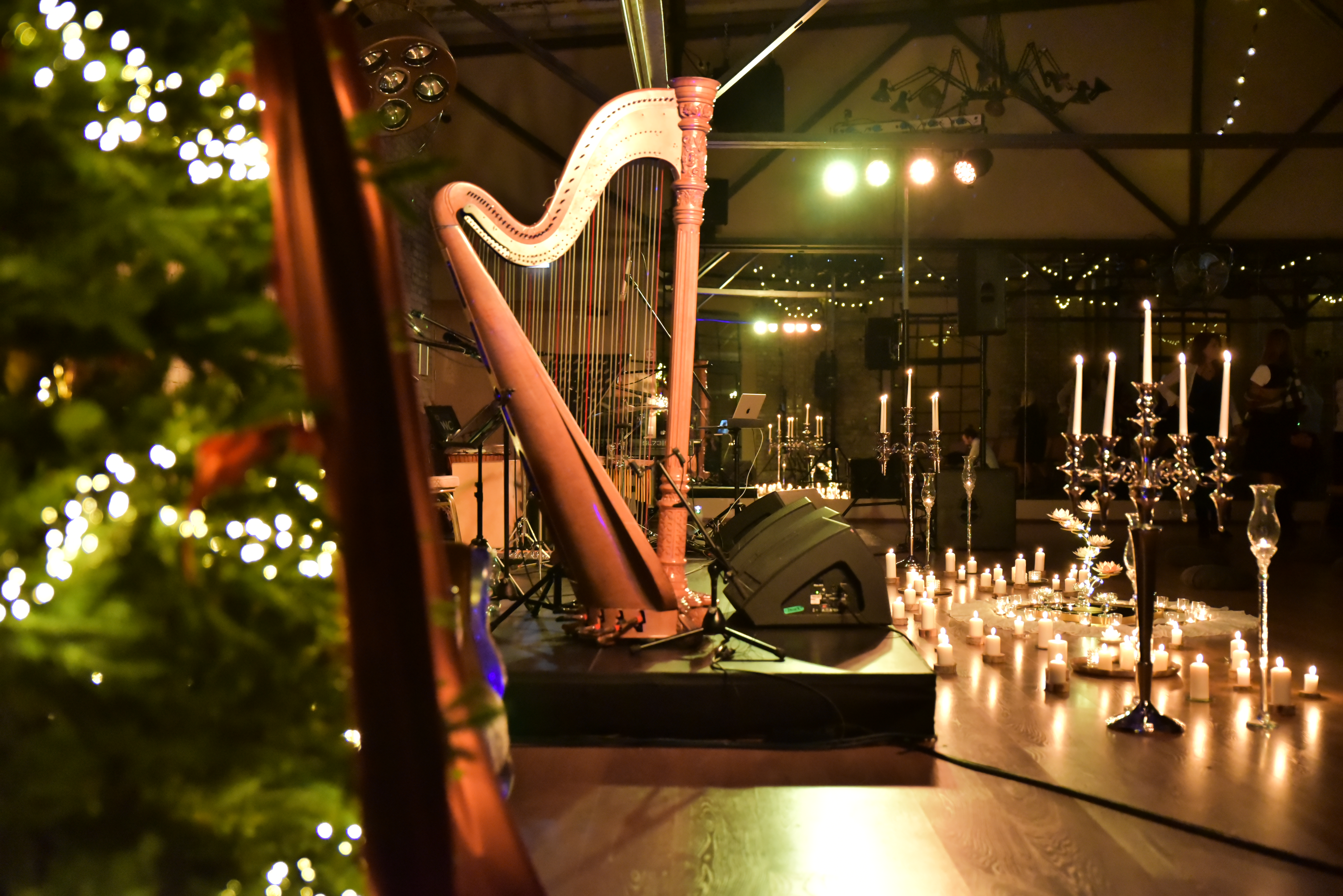 musician-photo-2
